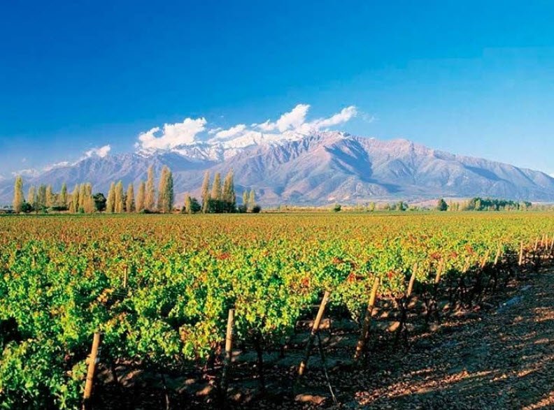 Maipo Valley, Near Santiago, Chile